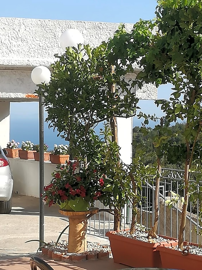 Il Covo delle Civette