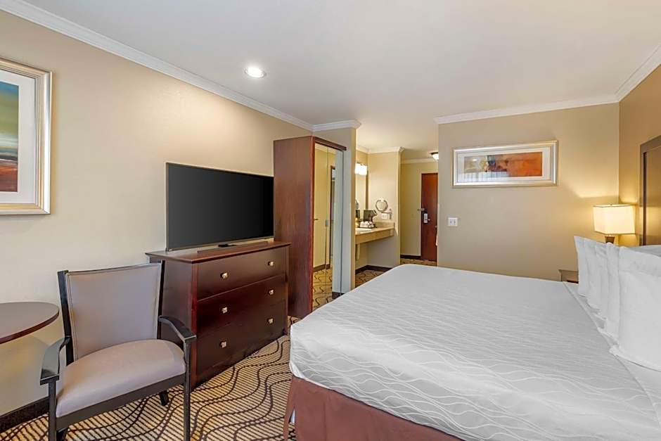 Best Western Plus Orchid Hotel & Suites