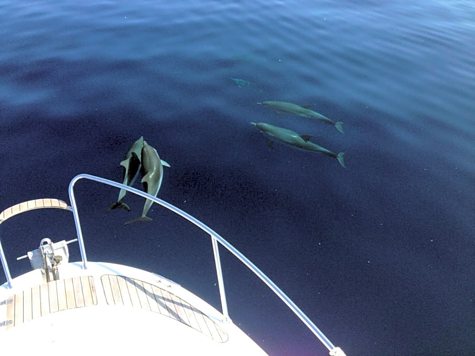 B&B Duomo Apartament