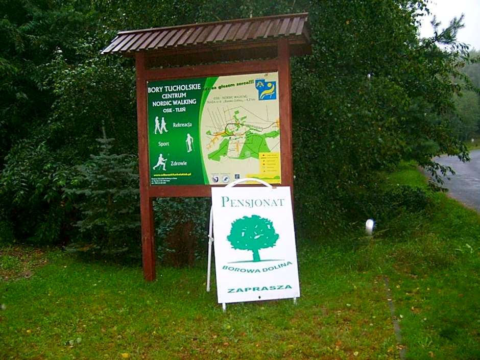Pensjonat BorowaDolina