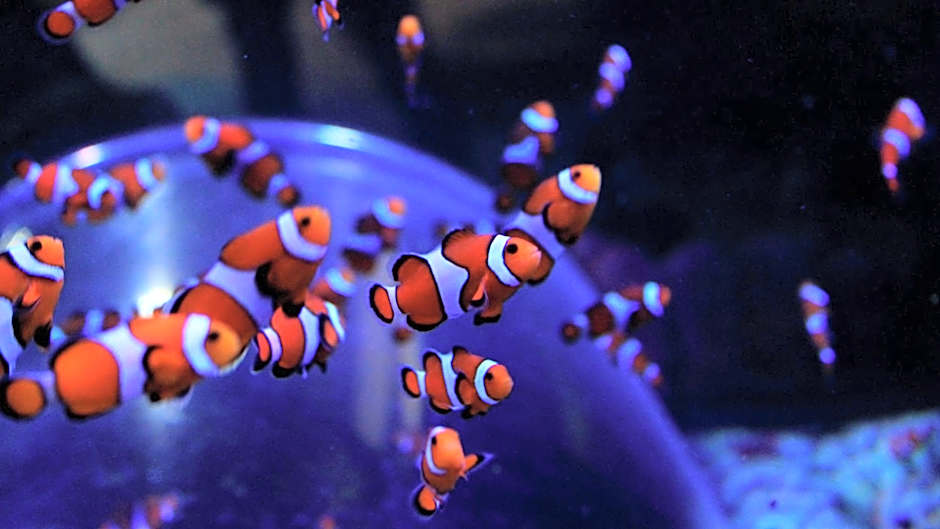 Holiday Inn Brighton Seafront By IHG