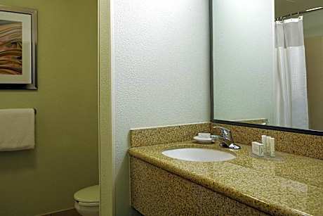 Guest room, 1 King, Sofa bed