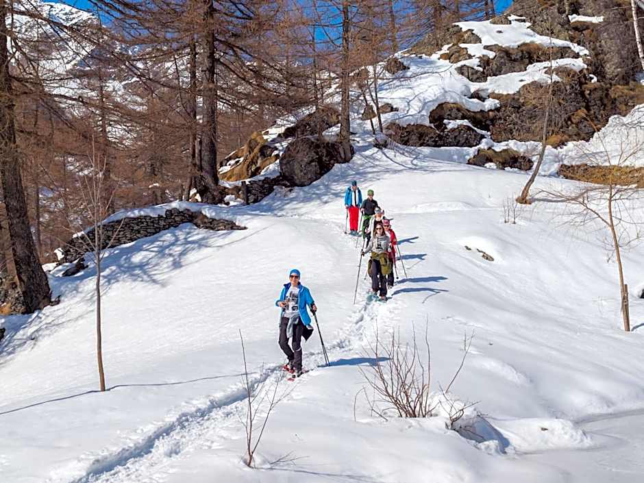 Gruppenhaus im Walliser Alpstyle