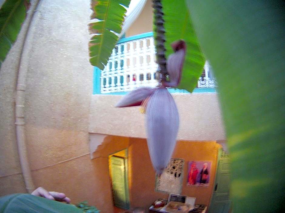 Riad Dar Mchicha