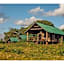 Crater Forest Tented Lodge