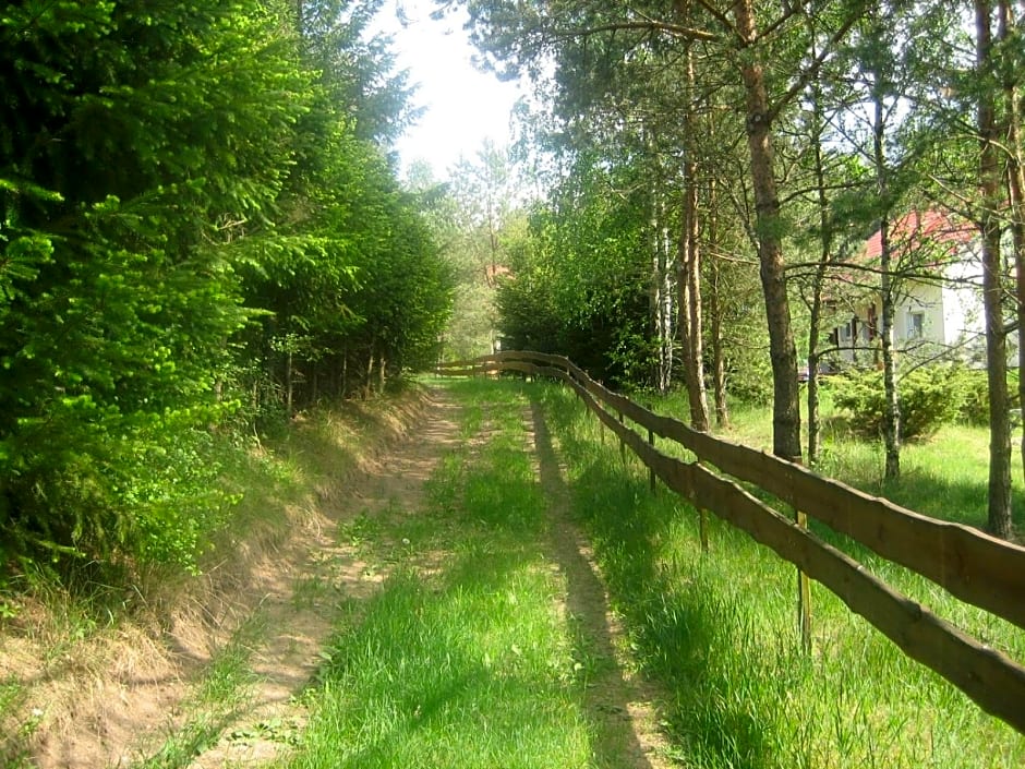 Dom letniskowy POŚRÓD KASZUBSKIEGO LASU