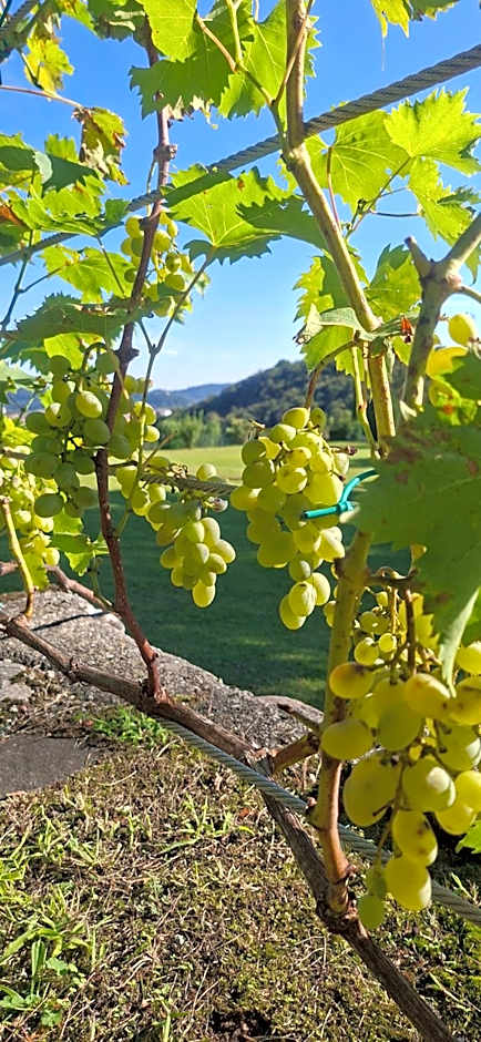 Villa Duno a un passo da Città Alta