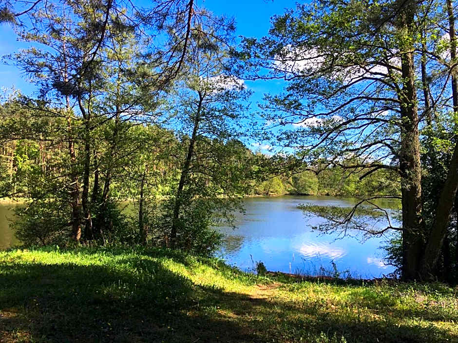 Domek z bali Tryszczyn nad Brdą