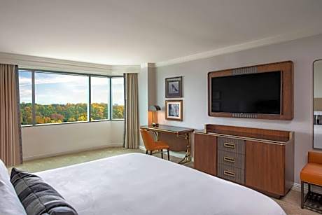 Room, 1 King Bed
