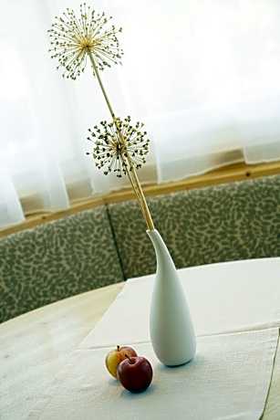 Apartment with Garden View