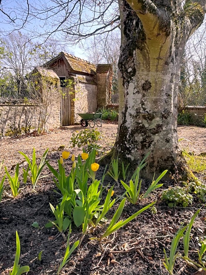 Maison Angulus Ridet