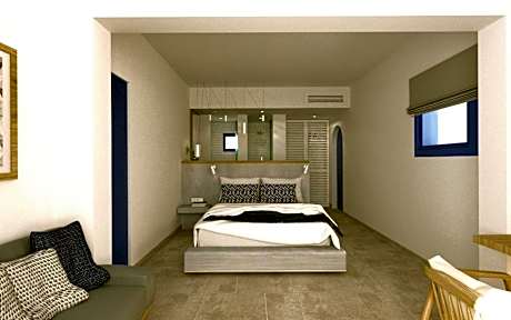 Junior Suite with plunge pool and private terrace