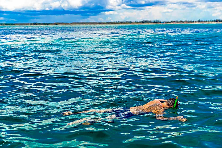 The Island - Pongwe Lodge