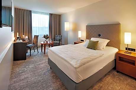 1 Queen Bed Business Room 24 Square Meters Air-Conditioned Quiet Location