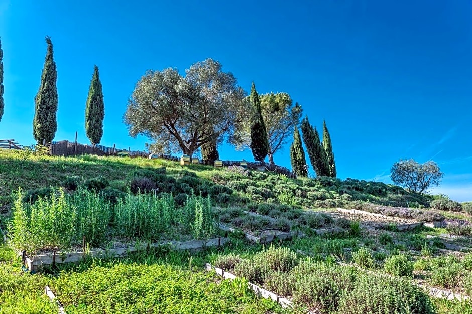 Agriturismo Le Tassinaie