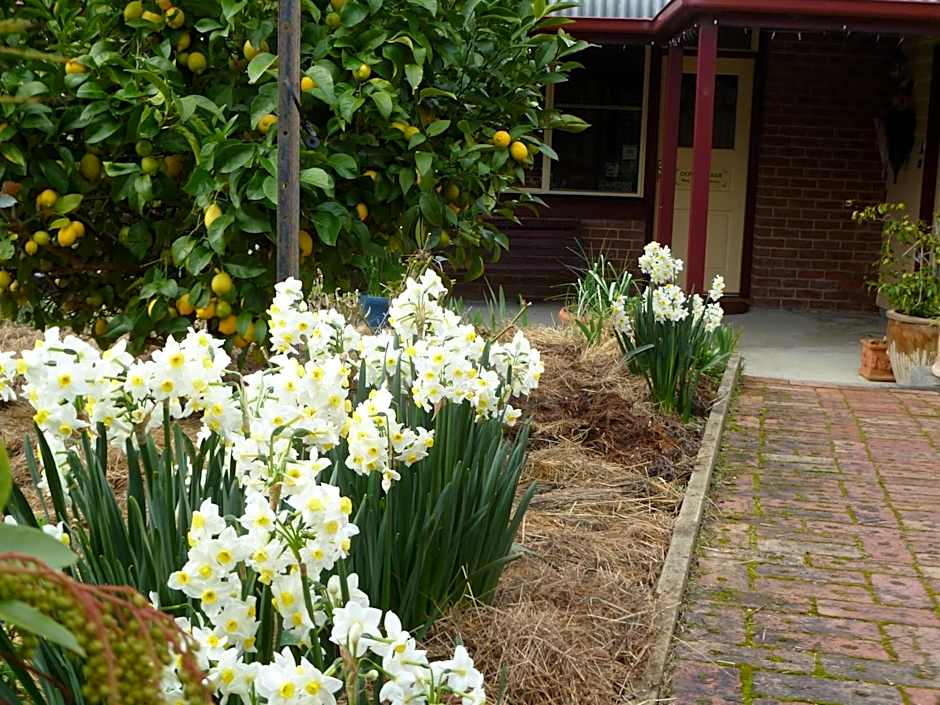 Donalea Bed & Breakfast