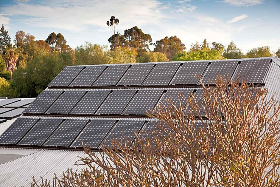 The Queen Of Calitzdorp