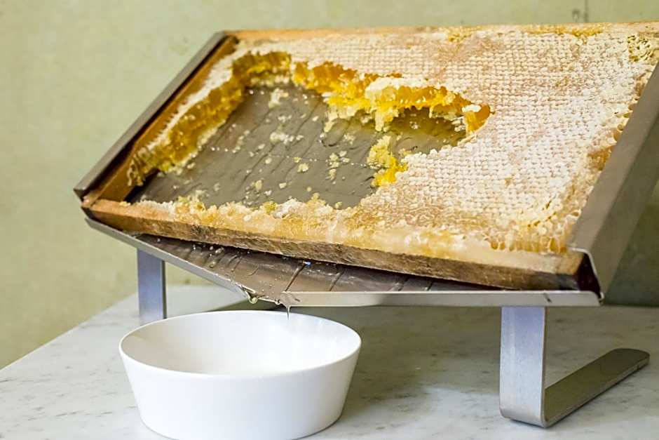 Boutique & Business Hotel La Tureta