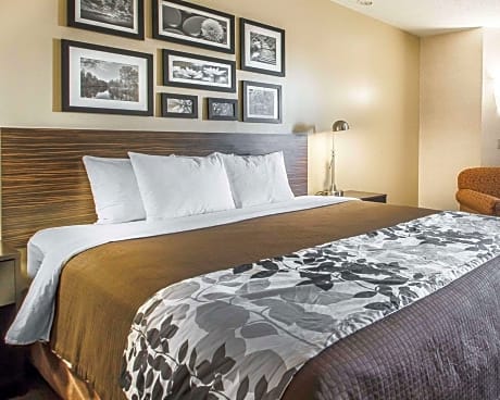 1 King Bed, Suite, Nonsmoking