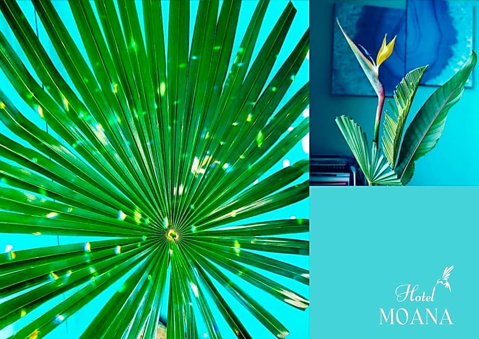 hotel MOANA - Vacation STAY 76518v