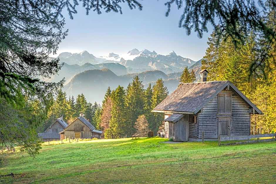 Metzgerwirt Vieh Heli