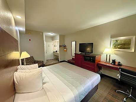 1 King Bed, Non-Smoking
