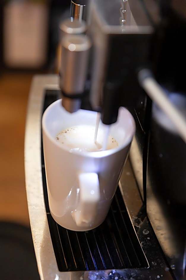 Dolphin Hotel Herning