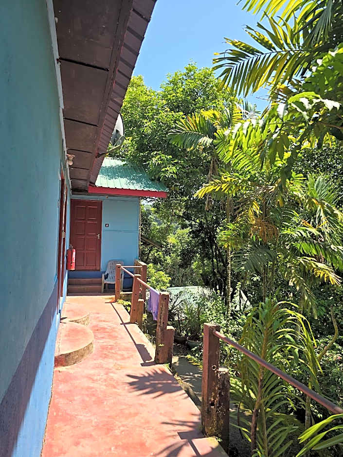 D view hill hotel