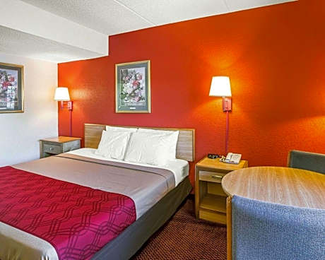 1 King Bed, Nonsmoking