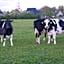 BnB-Heirhuys