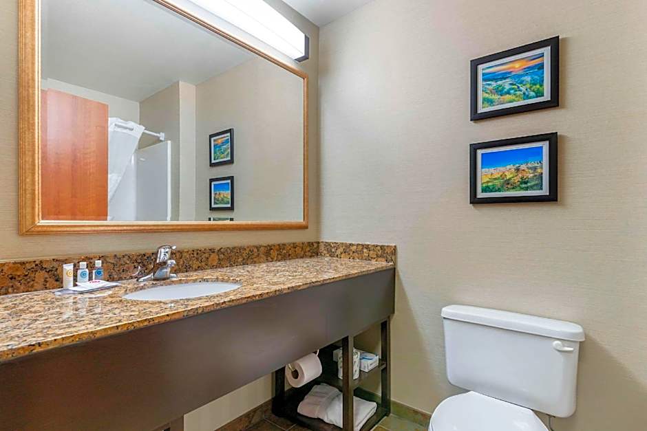 Comfort Inn & Suites Mitchell I-90