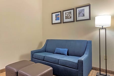 1 King Bed, Suite, Nonsmoking