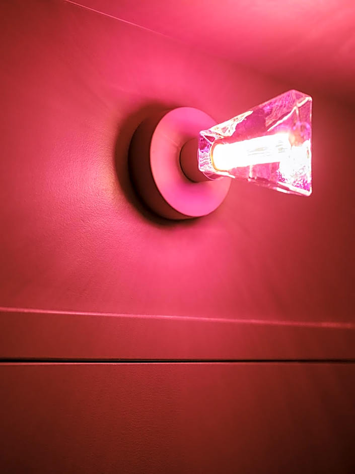 Rose - Hôtel Invisible