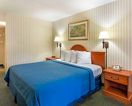 1 King Bed, Nonsmoking