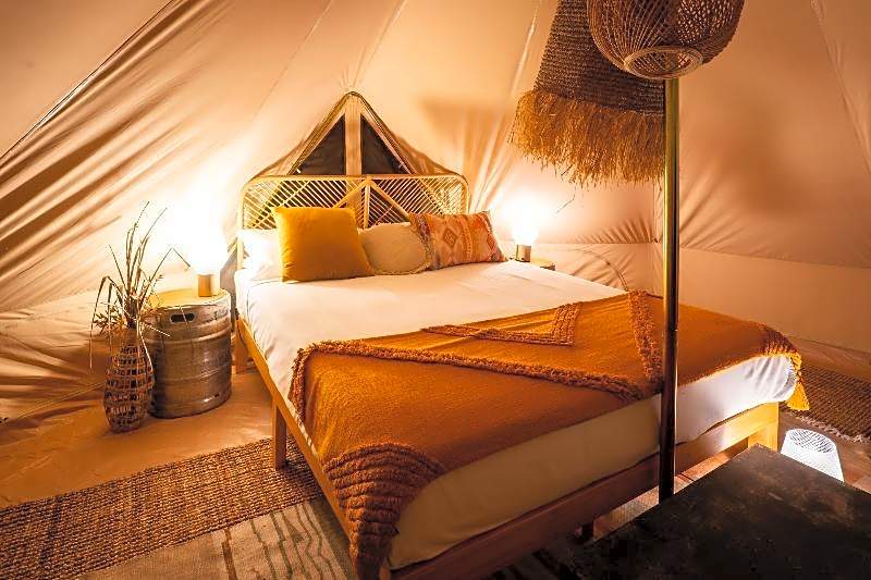 Koala Park by Bounce