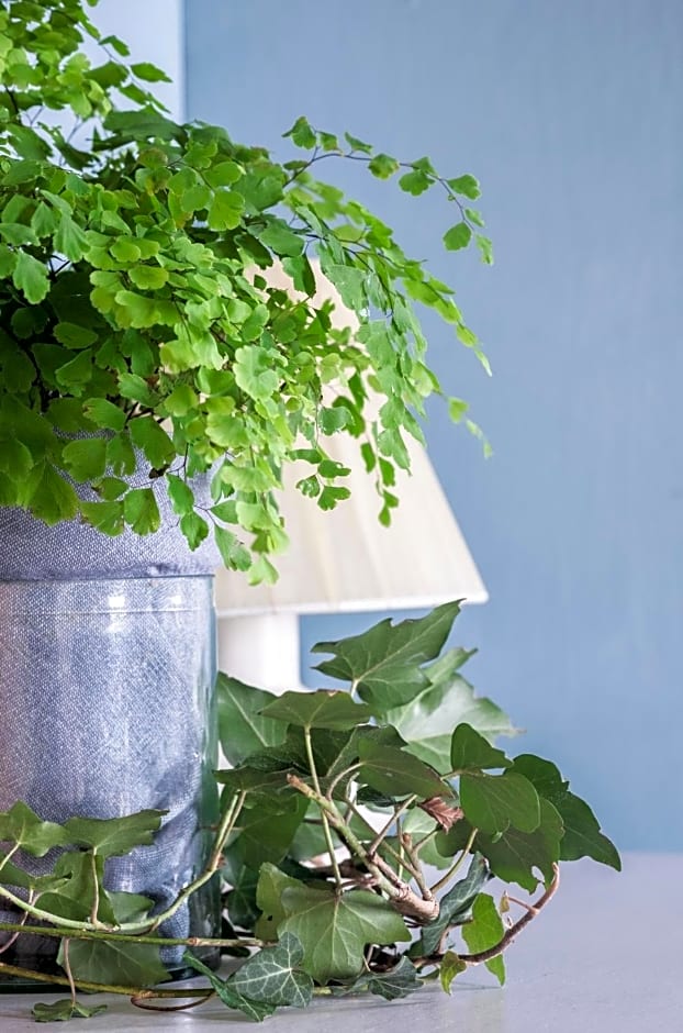 La Porta Accanto B&B