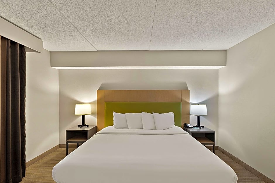 Photo 1 of 4 of 1 King Bed, Accessible