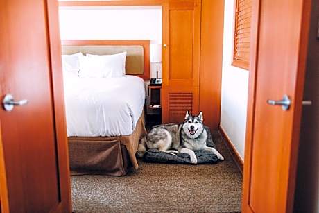 One Bedroom Upper Floor Suite