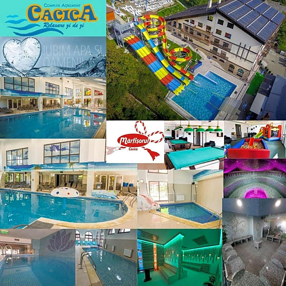 Sat de Vacanta Martisorul Cacica