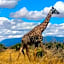 Tausa Tsavo Eco Lodge