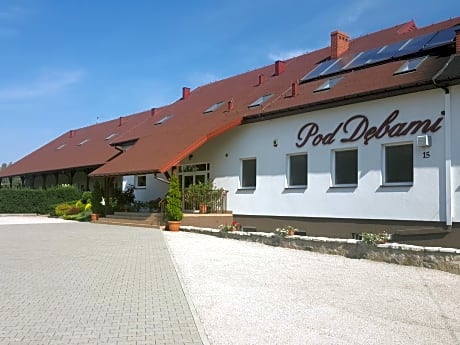 Dom Pod Dębami