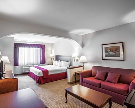 1 King Bed, Suite, Nonsmoking