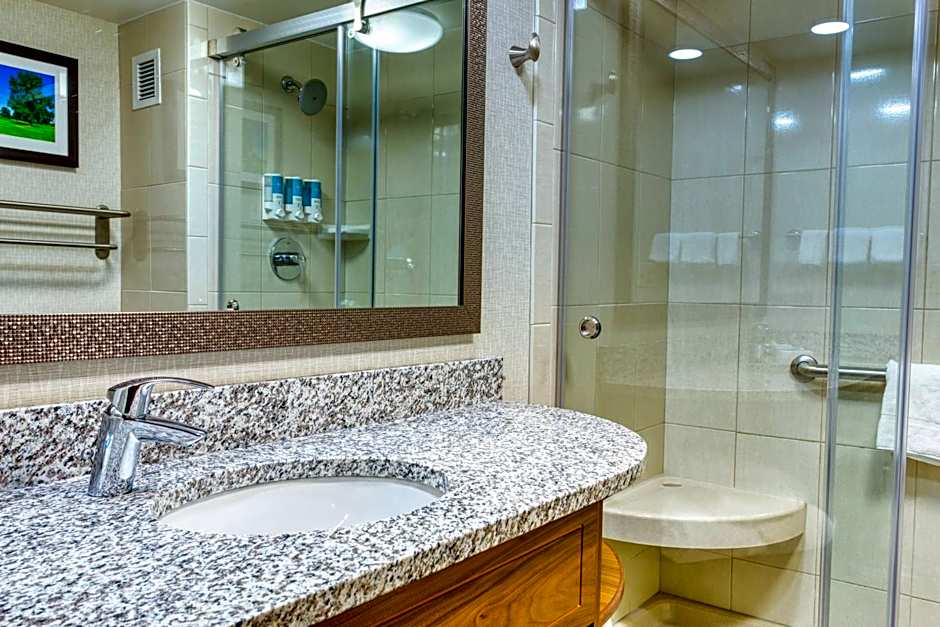 Drury Inn and Suites St Louis Collinsville