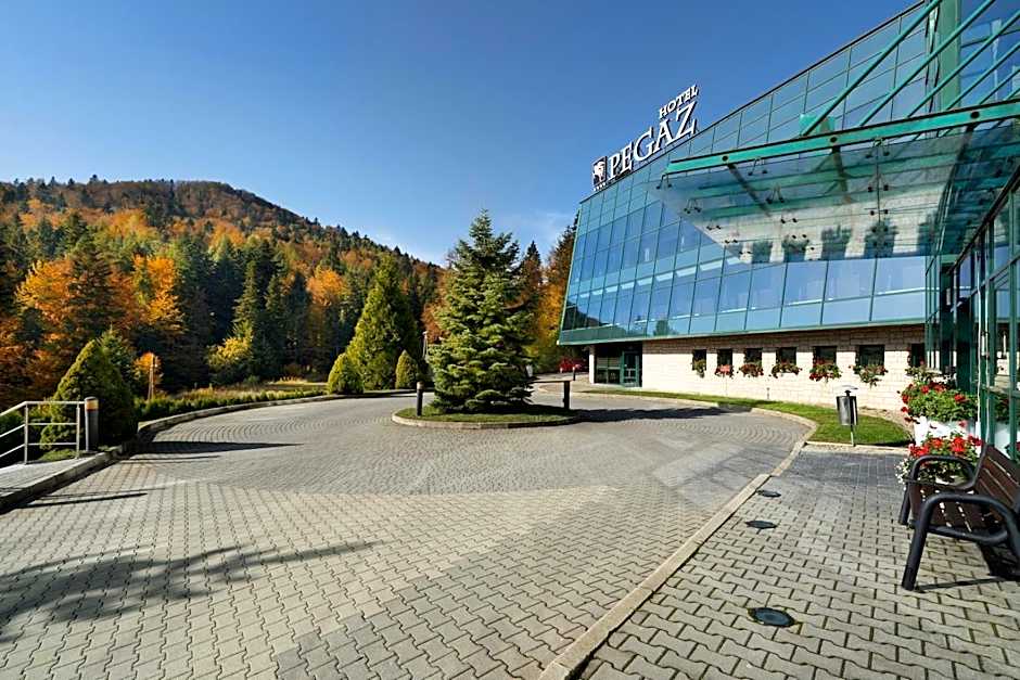 Hotel Pegaz