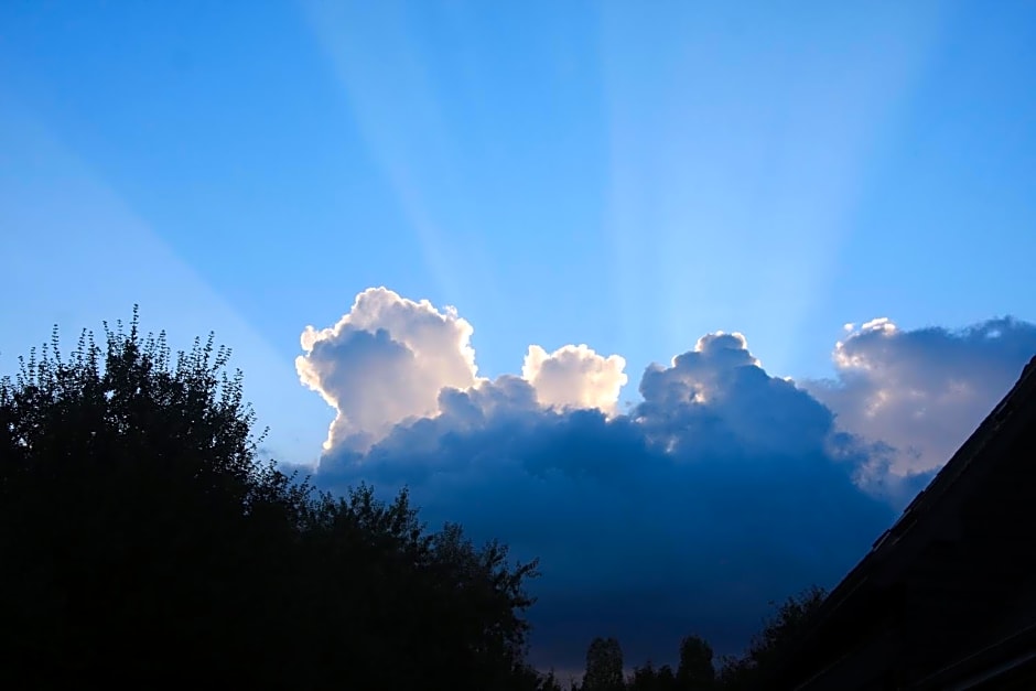 Les Bouts de Rallé Chambre d'Hotes