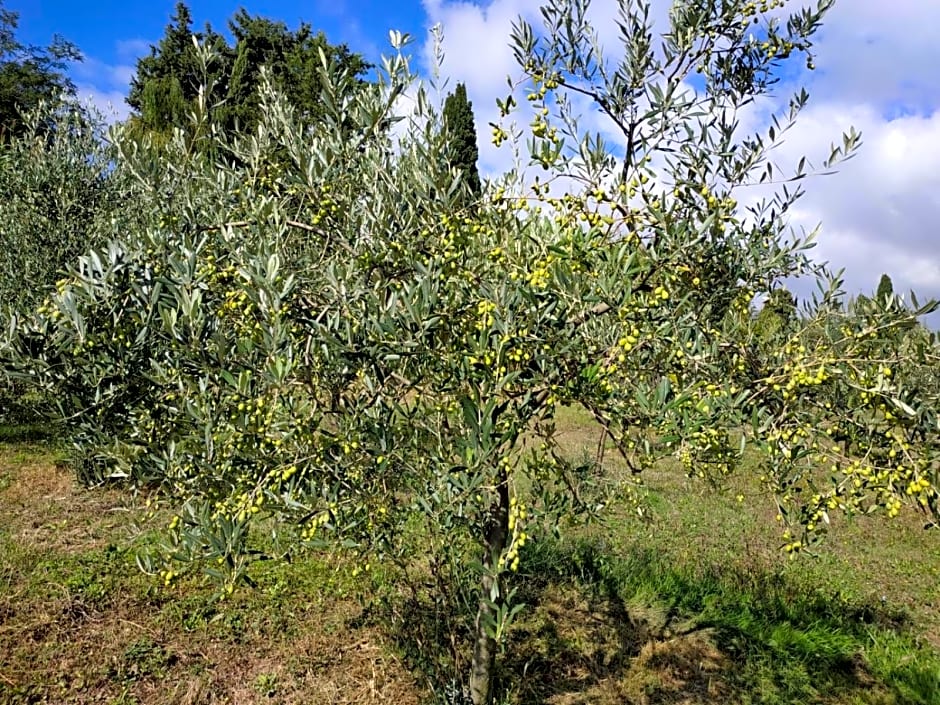 B & B CUORE TOSCANO