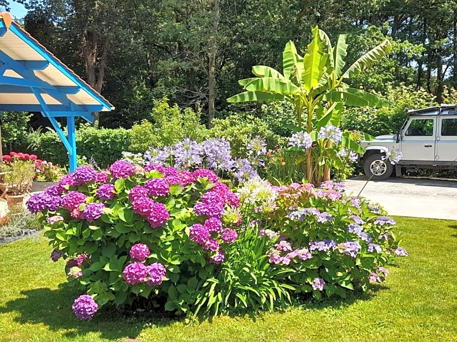 La Clairière du Seignanx