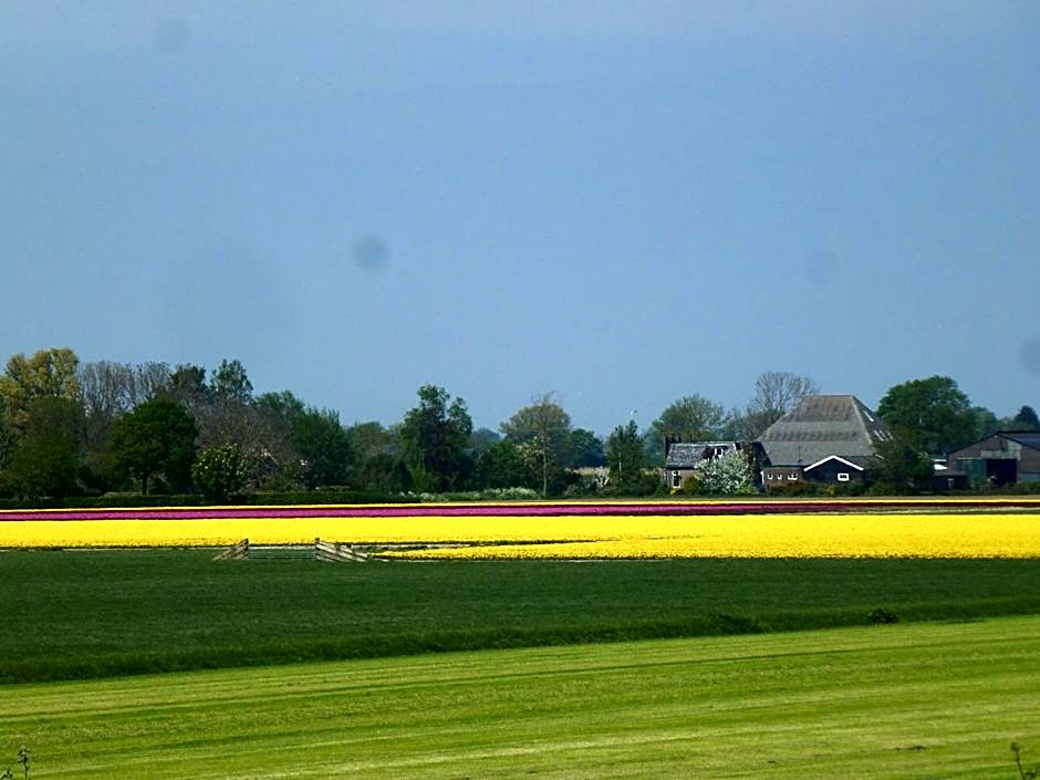 Het Burgemeestershuis
