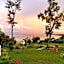 D View Holiday Homes