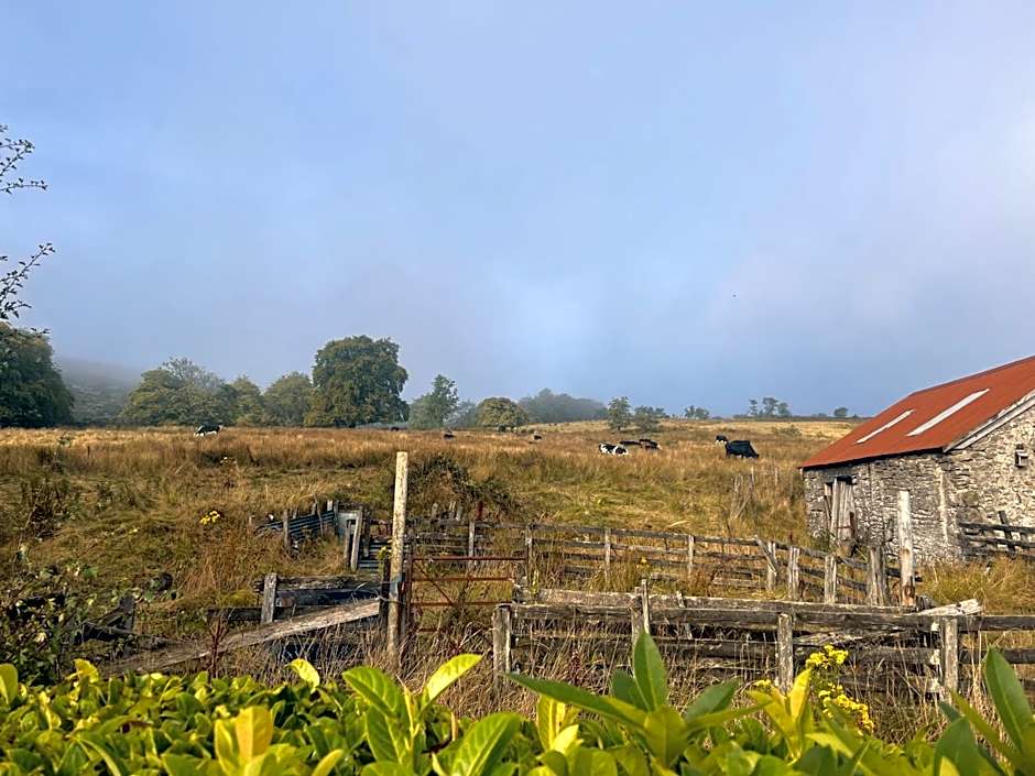 Stoneymollan over Loch Lomond